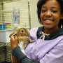 VetAssist_102313_0008
